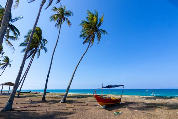 Quels sont les meilleurs itinéraires pour une randonnée sur les sentiers de Kungsleden en Suède : équipements et conseils ?