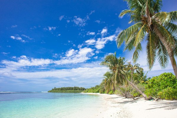 Comment organiser une visite des temples bouddhistes de Thimphou, Bhoutan : itinéraires et meilleures périodes ?
