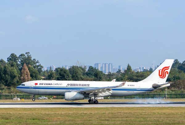 Comment découvrir les traditions de la fabrication de la bière en Allemagne ?