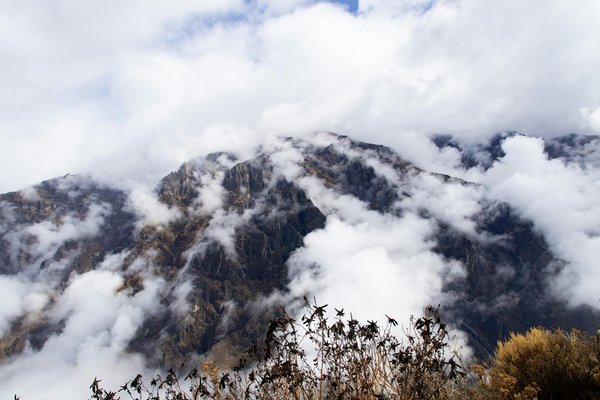 Comment choisir une croisière qui inclut des séminaires sur les écosystèmes marins des Caraïbes?