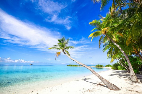 Quels sont les meilleurs itinéraires pour une randonnée dans le parc national de Denali, USA?