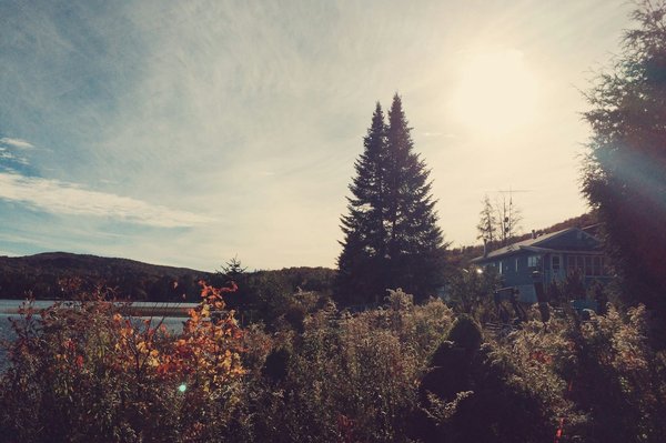 Quels sont les meilleurs conseils pour un camping en région de forêts denses en automne?