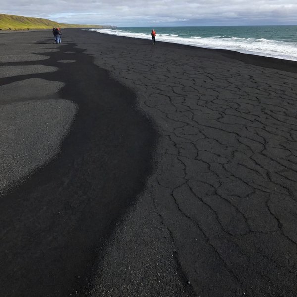Comment organiser une croisière qui propose des excursions pour découvrir les plages de sable noir en Islande?